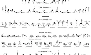 Ilustracja przedstawia różne sekwencje jogi: Surya Namaskara A i B, pozycje stojące, siedzące i końcowe.
