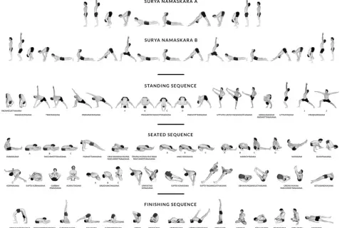 Ilustracja przedstawia różne sekwencje jogi: Surya Namaskara A i B, pozycje stojące, siedzące i końcowe.