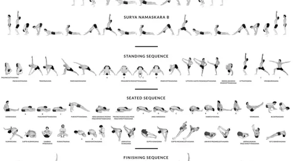 Ilustracja przedstawia różne sekwencje jogi: Surya Namaskara A i B, pozycje stojące, siedzące i końcowe.