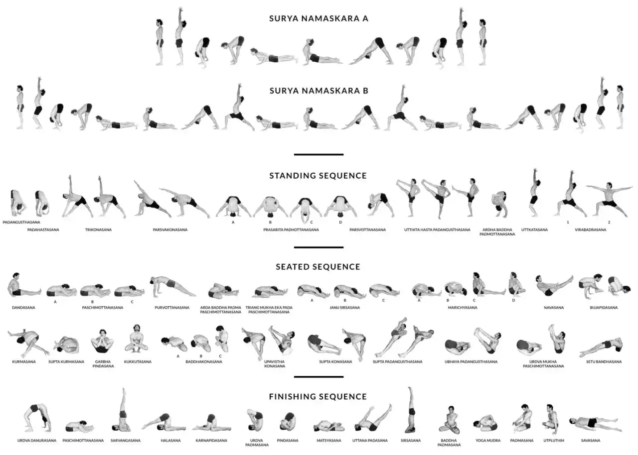 Ilustracja przedstawia różne sekwencje jogi: Surya Namaskara A i B, pozycje stojące, siedzące i końcowe.