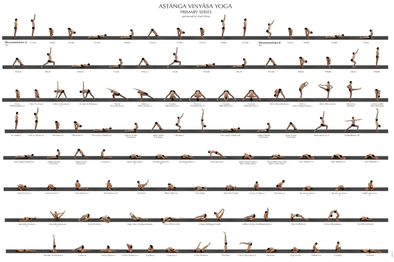 Ashtanga 1 seria: sekwencja pozycji jogi od Sūryanamaskara A do Savāsana, prezentująca płynne przejścia między asanami.