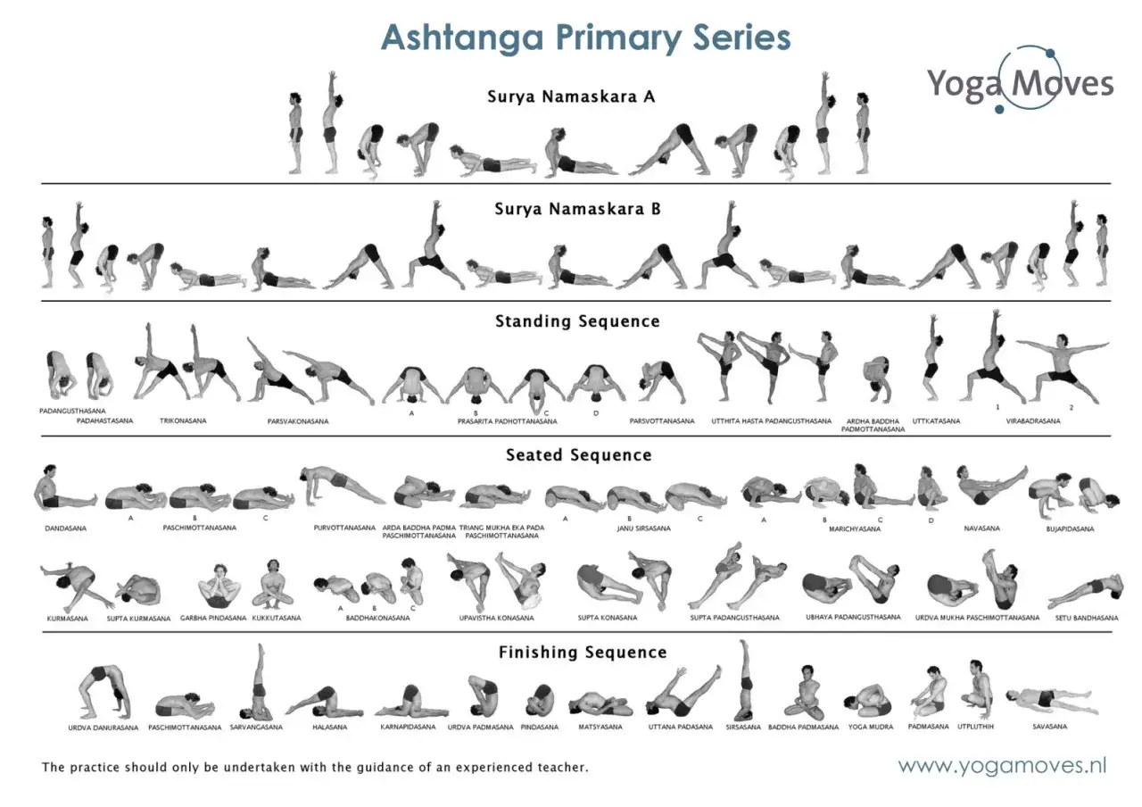 Ashtanga 1 seria: sekwencje Surya Namaskara A i B, pozycje stojące, siedzące i końcowe.