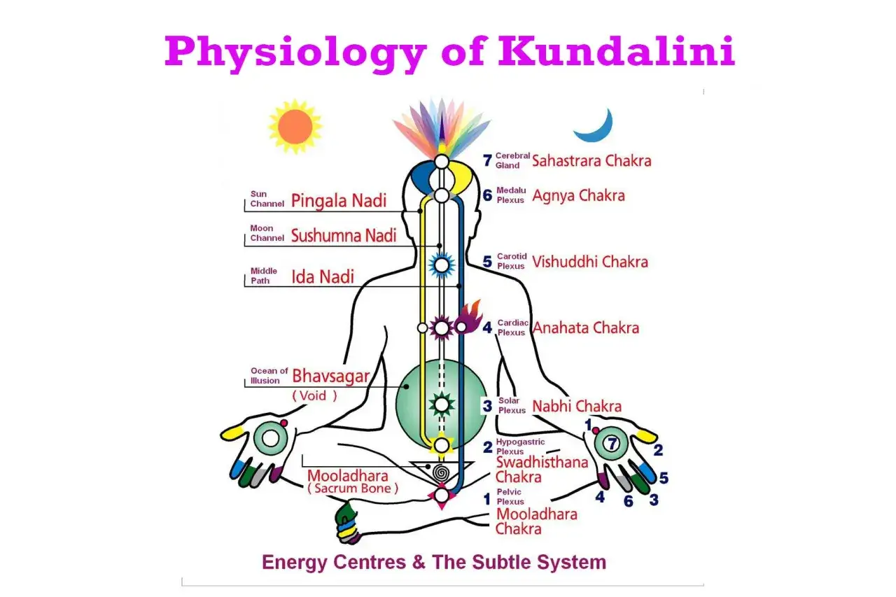 Schemat przedstawia fizjologię kundalini, pokazując czakry, nadi (Pingala, Sushumna, Ida) i ich powiązania. To jest odpowiedź na pytanie: kundalini co to.