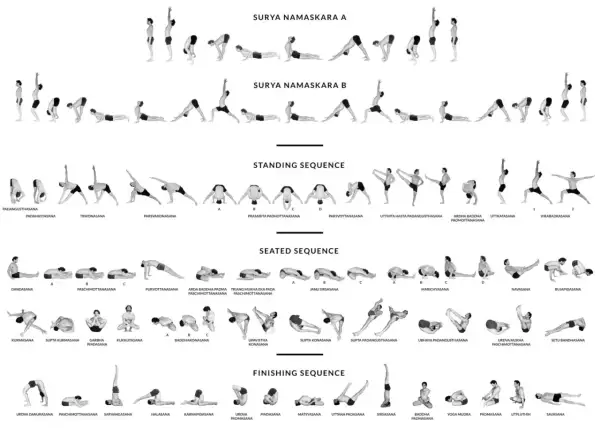 Ilustracja przedstawia różne sekwencje jogi: Surya Namaskara A i B, pozycje stojące, siedzące i końcowe.